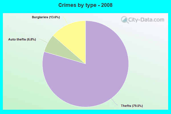 Crimes by type - 2008