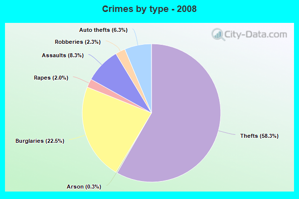 Crimes by type - 2008