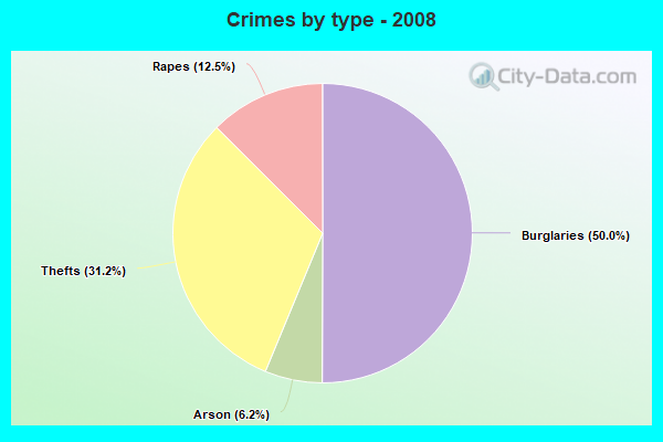 Crimes by type - 2008