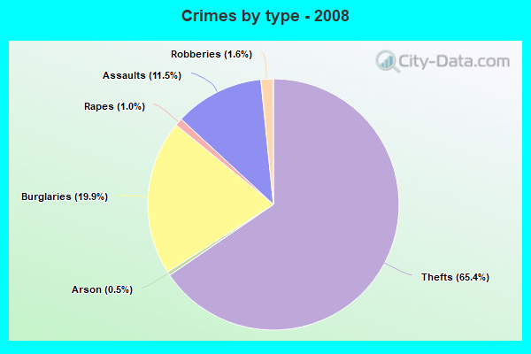 Crimes by type - 2008