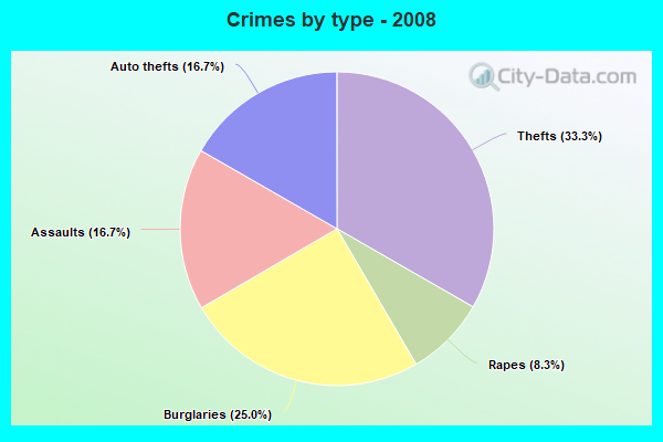 Crimes by type - 2008