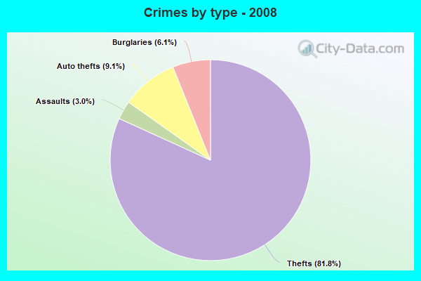 Crimes by type - 2008