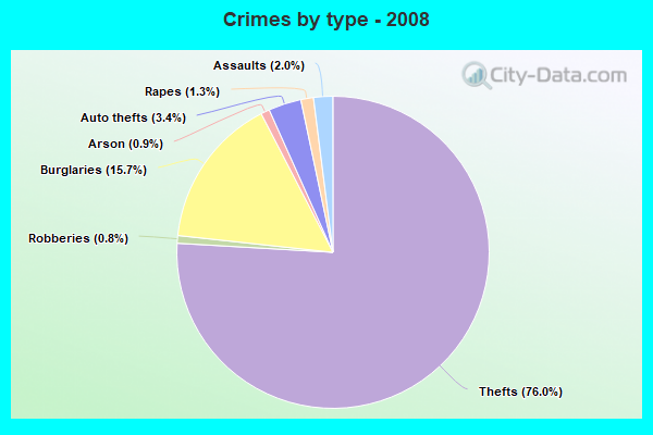 Crimes by type - 2008