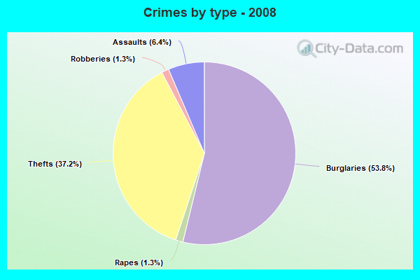 Crimes by type - 2008