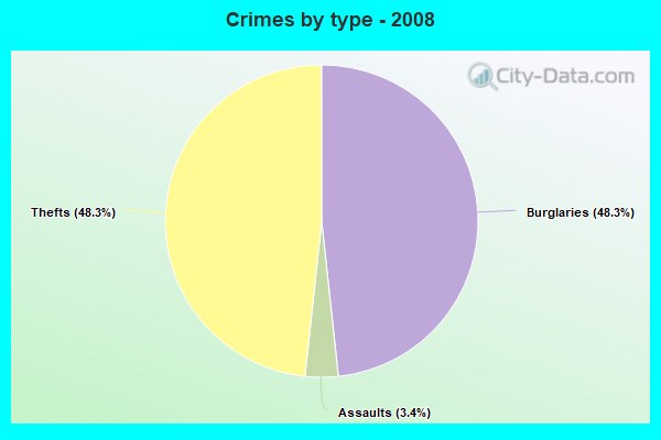 Crimes by type - 2008