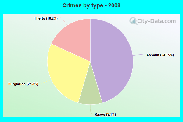 Crimes by type - 2008