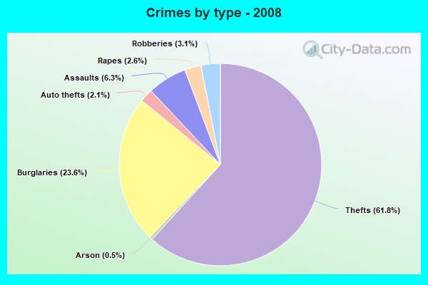 Crimes by type - 2008