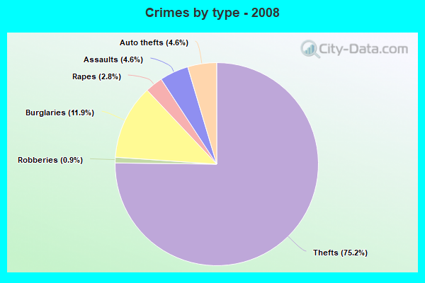 Crimes by type - 2008