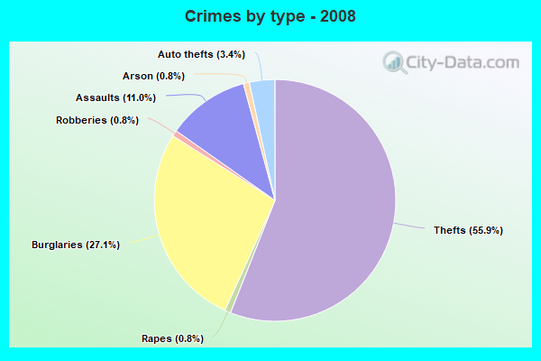 Crimes by type - 2008