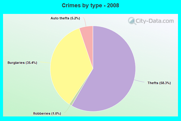 Crimes by type - 2008