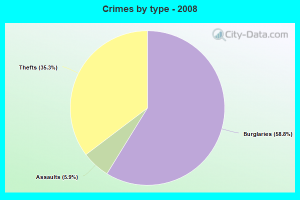 Crimes by type - 2008