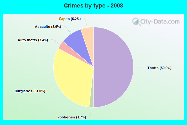 Crimes by type - 2008