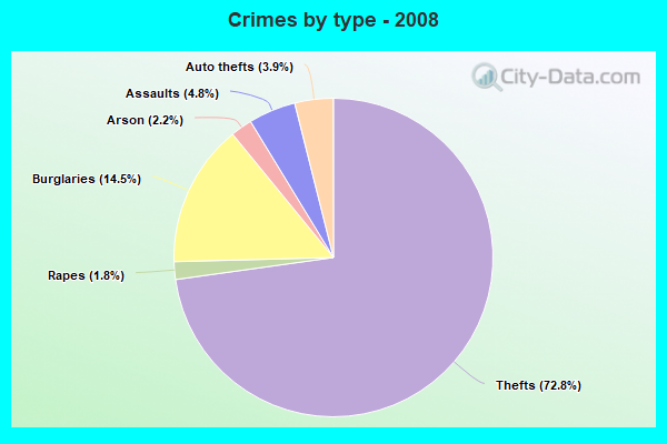 Crimes by type - 2008