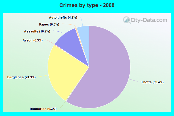 Crimes by type - 2008