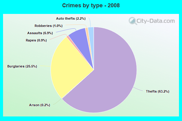 Crimes by type - 2008