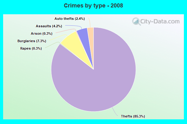 Crimes by type - 2008