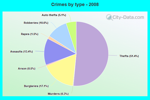 Crimes by type - 2008