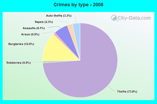 Crimes by type - 2008