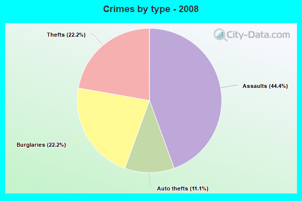 Crimes by type - 2008