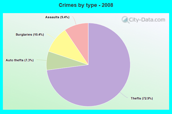 Crimes by type - 2008