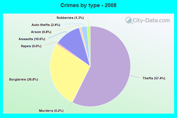 Crimes by type - 2008