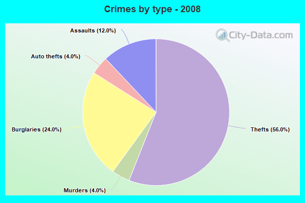 Crimes by type - 2008