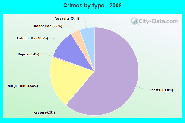 Crimes by type - 2008