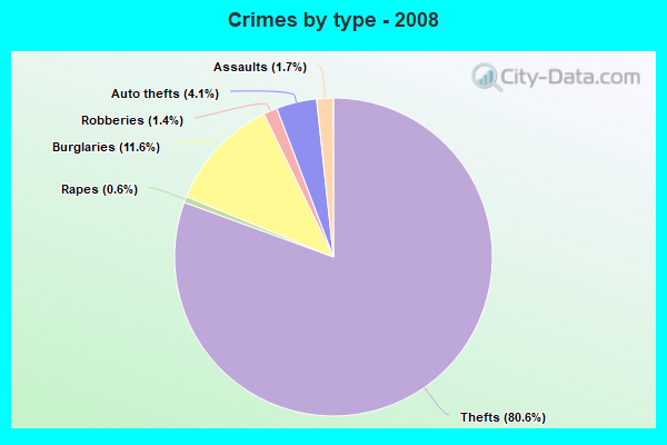 Crimes by type - 2008