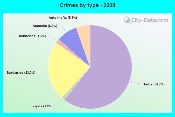 Crimes by type - 2008