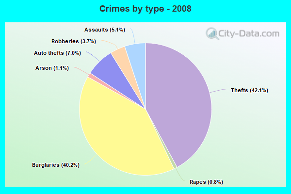 Crimes by type - 2008