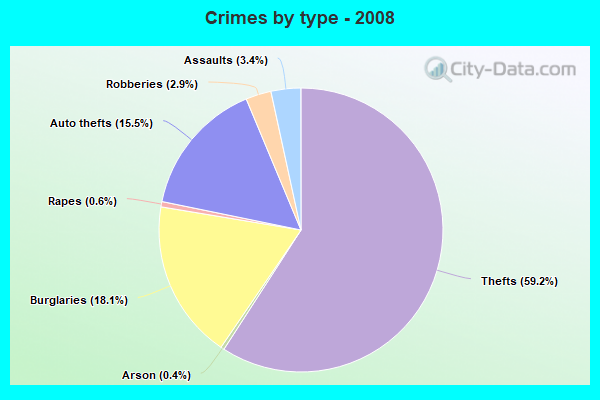 Crimes by type - 2008