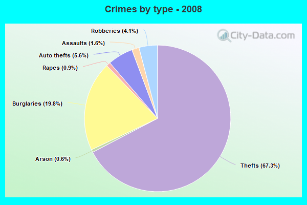 Crimes by type - 2008