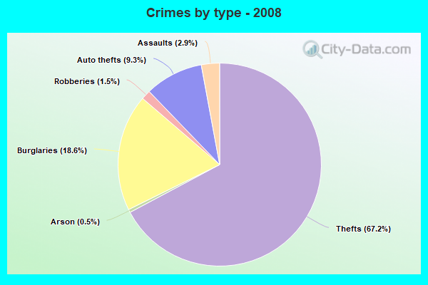 Crimes by type - 2008