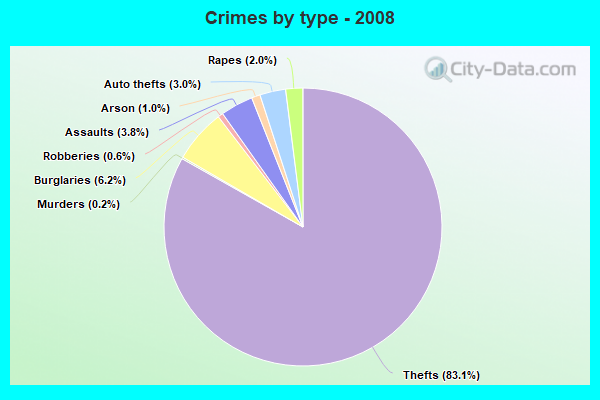 Crimes by type - 2008