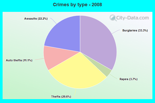 Crimes by type - 2008