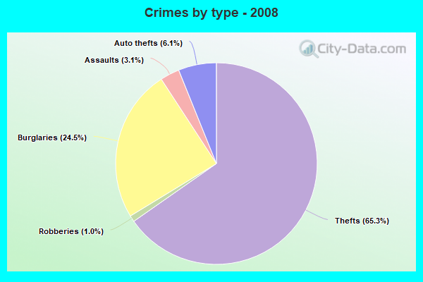 Crimes by type - 2008