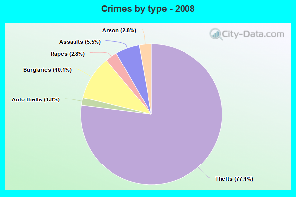 Crimes by type - 2008