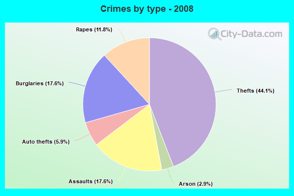 Crimes by type - 2008