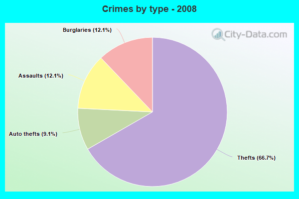 Crimes by type - 2008