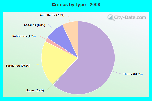 Crimes by type - 2008