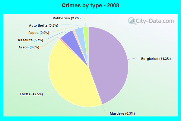 Crimes by type - 2008