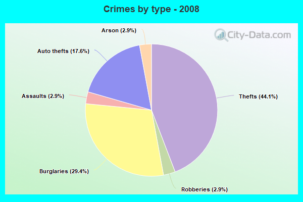 Crimes by type - 2008