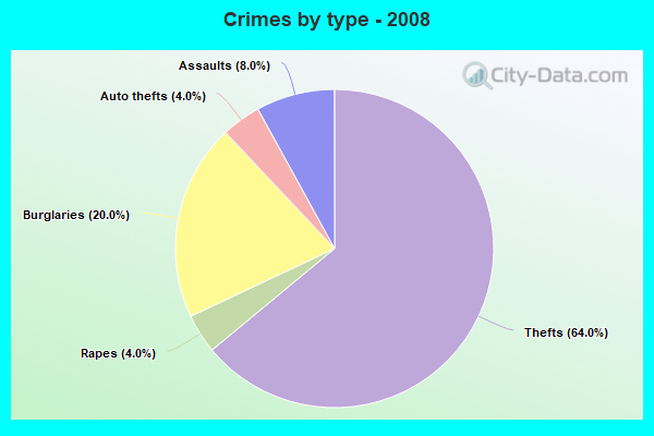 Crimes by type - 2008