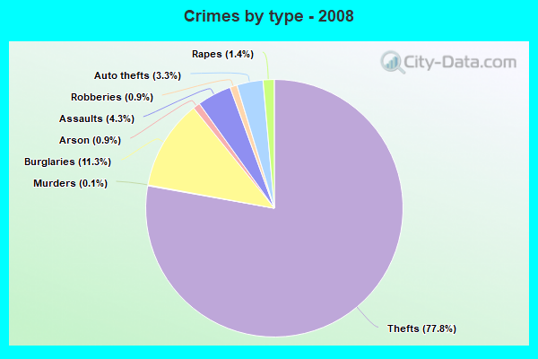 Crimes by type - 2008