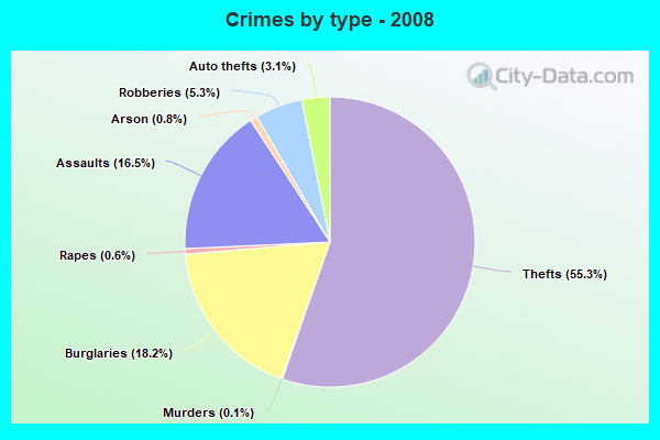 Crimes by type - 2008