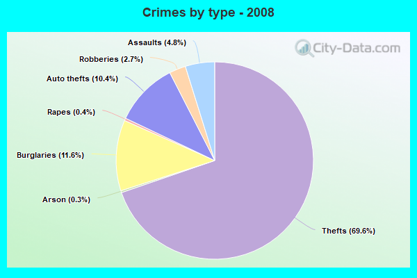 Crimes by type - 2008