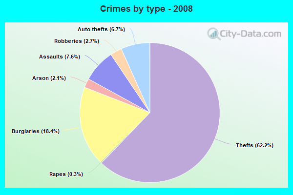 Crimes by type - 2008