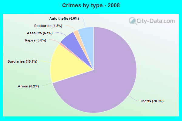 Crimes by type - 2008