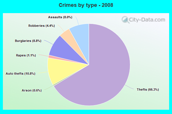 Crimes by type - 2008