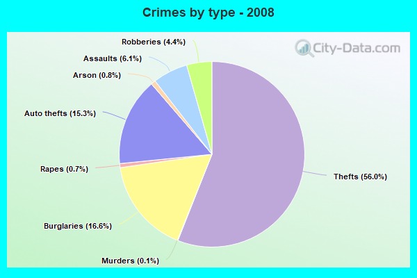 Crimes by type - 2008